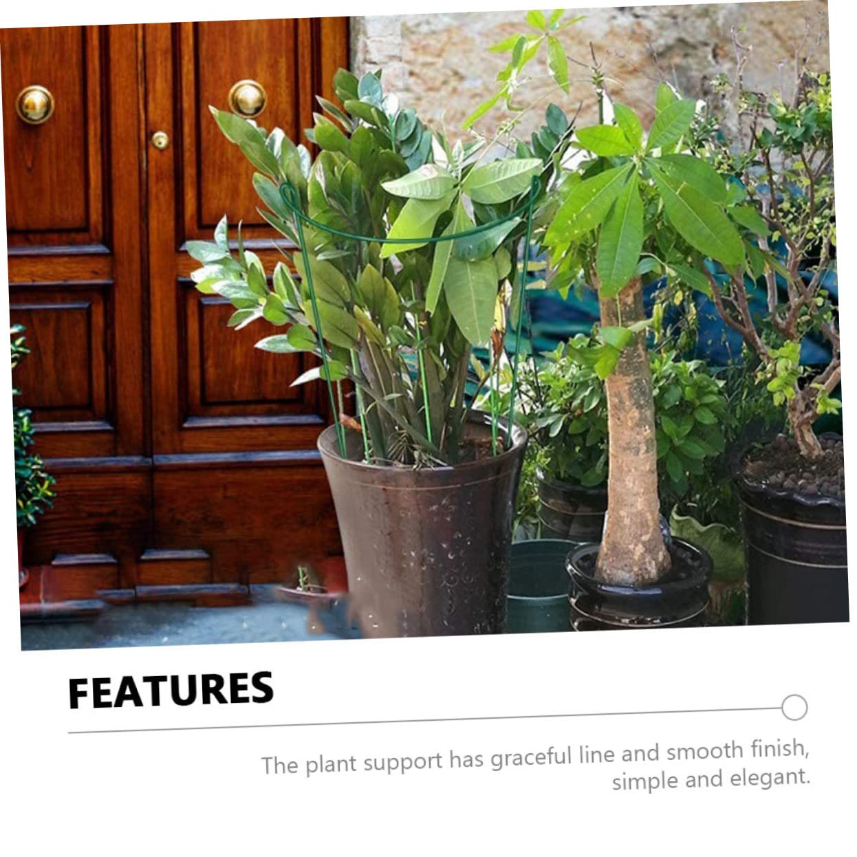 Lot de 6 Tuteurs de Plantes en Fer Vert, Réutilisables, pour Tiges Droites et Végétaux Grimpants, pour Créer Un Espace Vert Individuel au Jardin