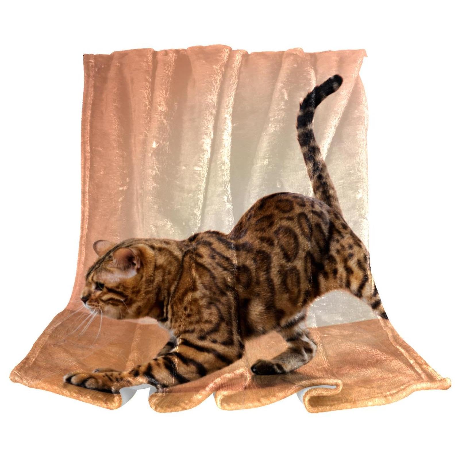 Couverture Polaire Chat Brun pour des Soirées Cocooning au Salon