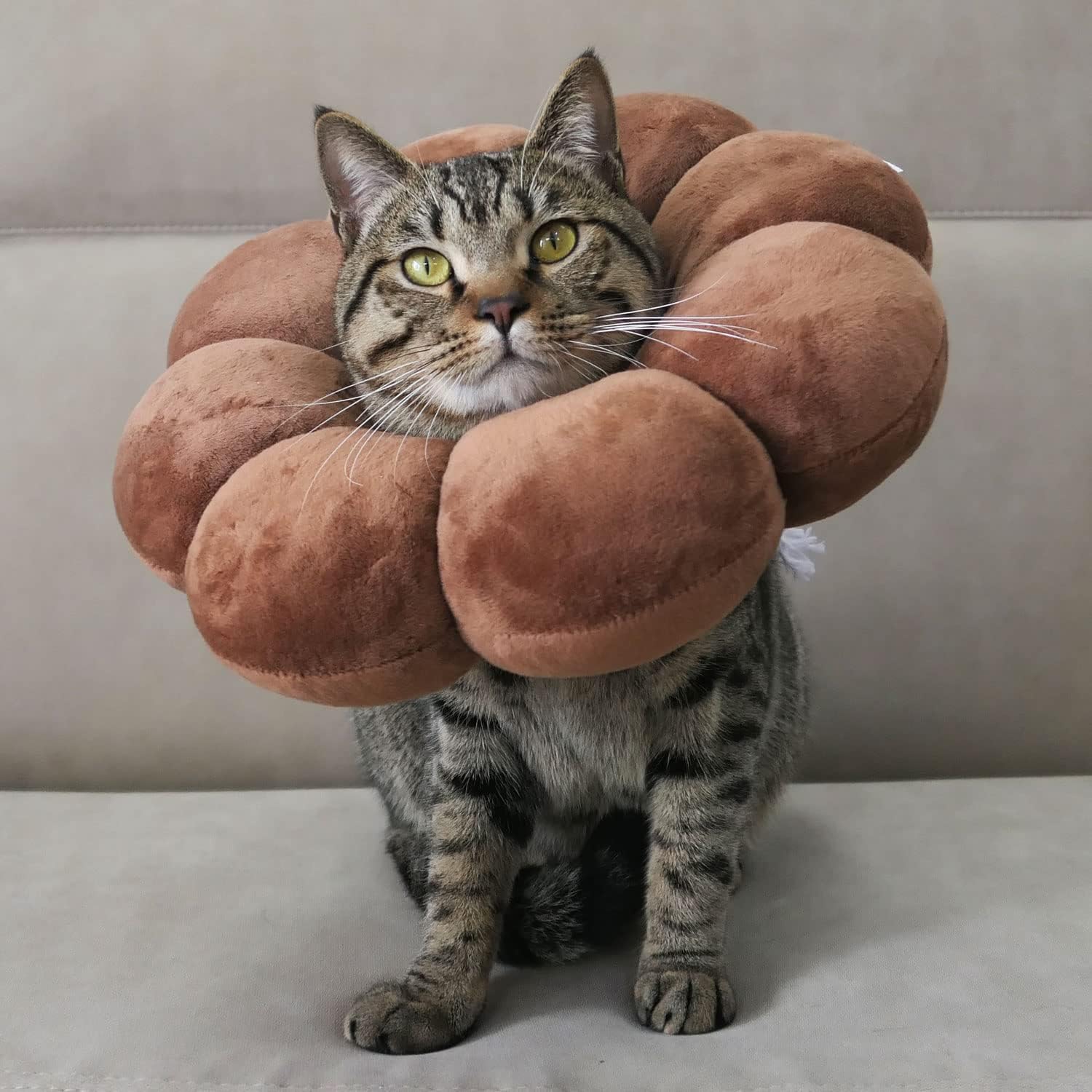 誠実 Komiiビーズ エリザベスカラー 猫用 兔用 小型犬用 ペット用品 傷舐め防止 かわいいひまわり型 調節可能 柔らかい 超軽量 通気性 傷 Dprd Jatimprov Go Id