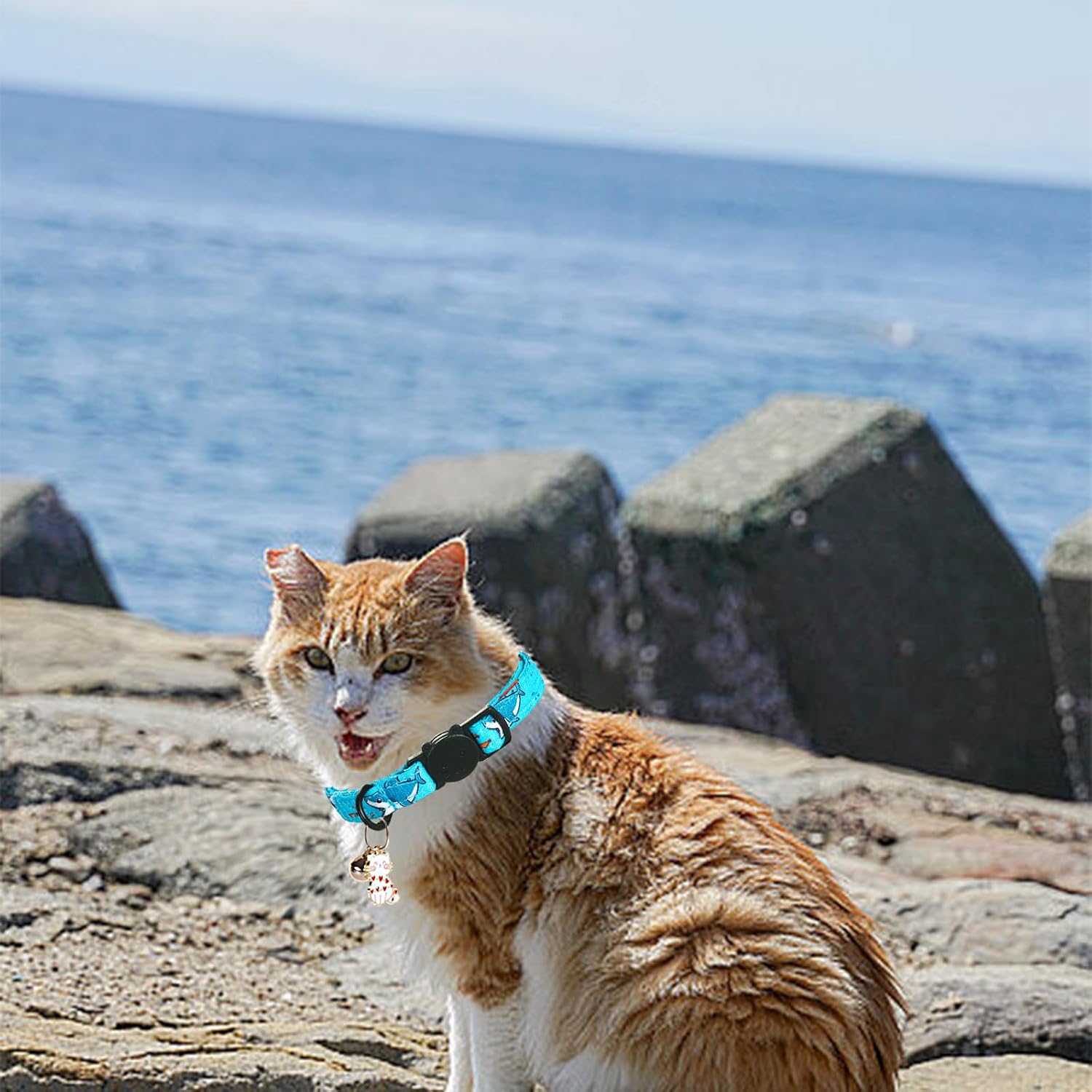 Shark & Dinosaur Cat Collar(2-Pack) Breakaway for Boy Cats | Safety Buckle, Kitten and Bell Pendant, Adjustable, Cotton Material, for Cats and Small Pets