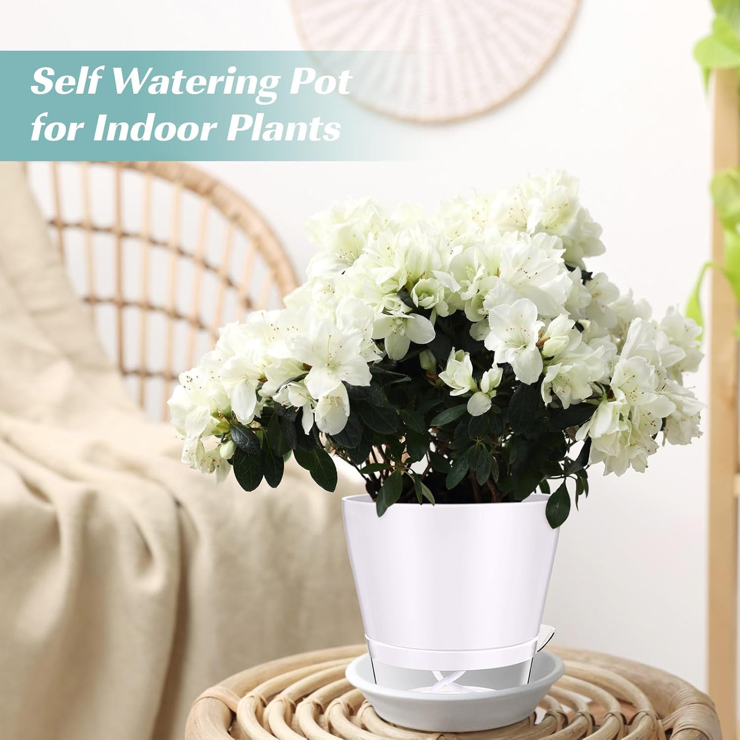 12 Pack Self Watering Planters for Indoor Plants 6 Inch Colorful Flower Pots with Drainage Holes and Reservoir Plastic Plant Pots for African Violets Succulents Herbs Flowers for Home Office