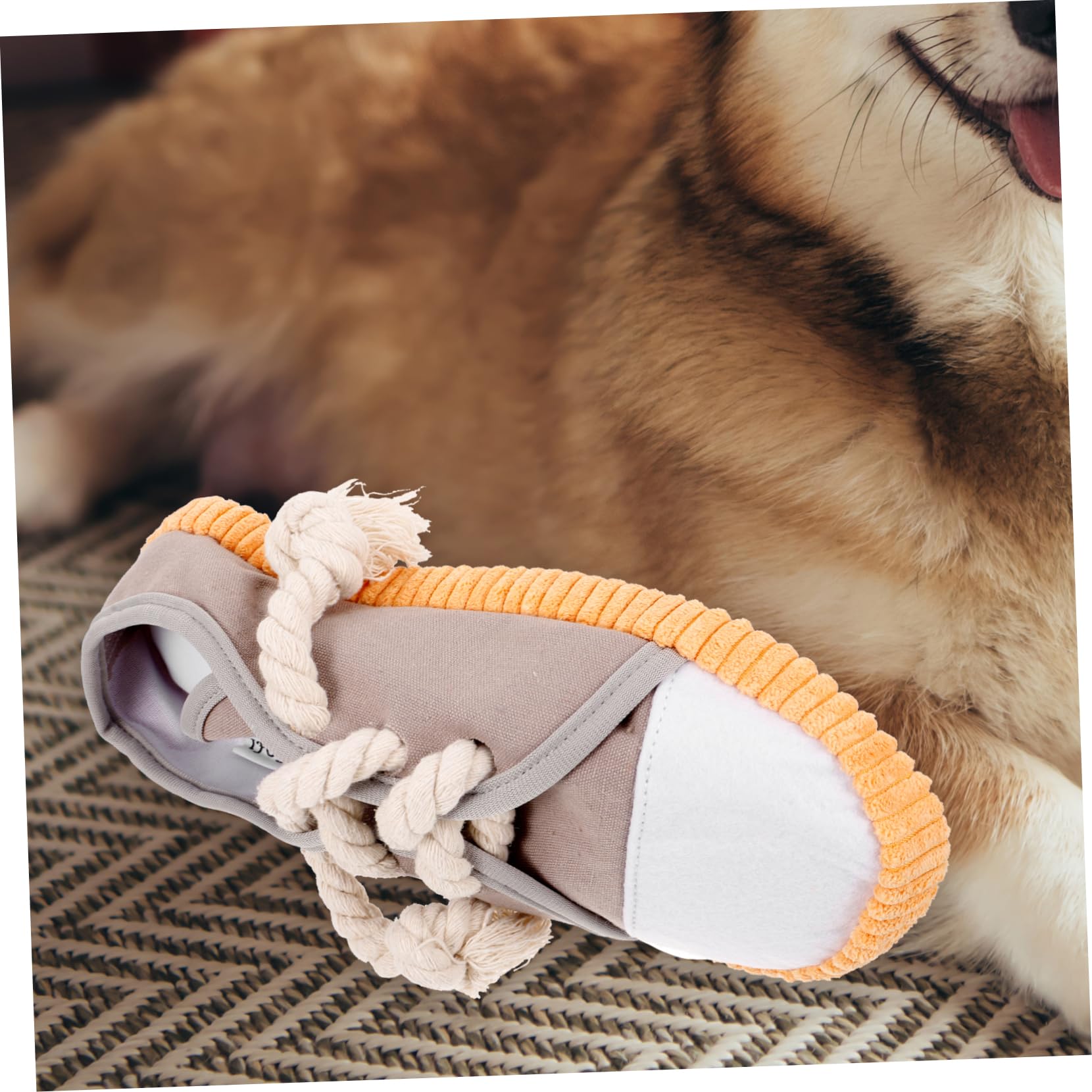 Toddmomy 4pièces Jouet à Mordre pour Chien Jouet De Nettoyage des pour Chiens Amusant avec Bruit