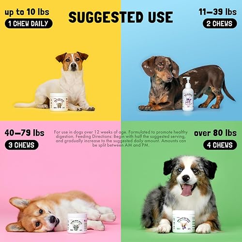 Miniatura 15 de Allergy Relief Chews for Dogs & Immune & Digestive Supplement with Wild Salmon Oil Kelp Colostrum Turmeric Probiotics & Bee Pollen for Seasonal