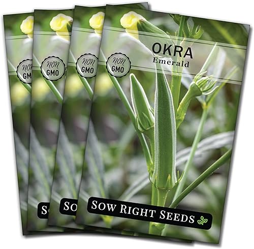 Miniatura 9 de Sow Right Seeds - Semilla de Okra esmeralda para plantar - Paquete de reliquia sin OMG con instrucciones para plantar un huerto casero - Gran regalo