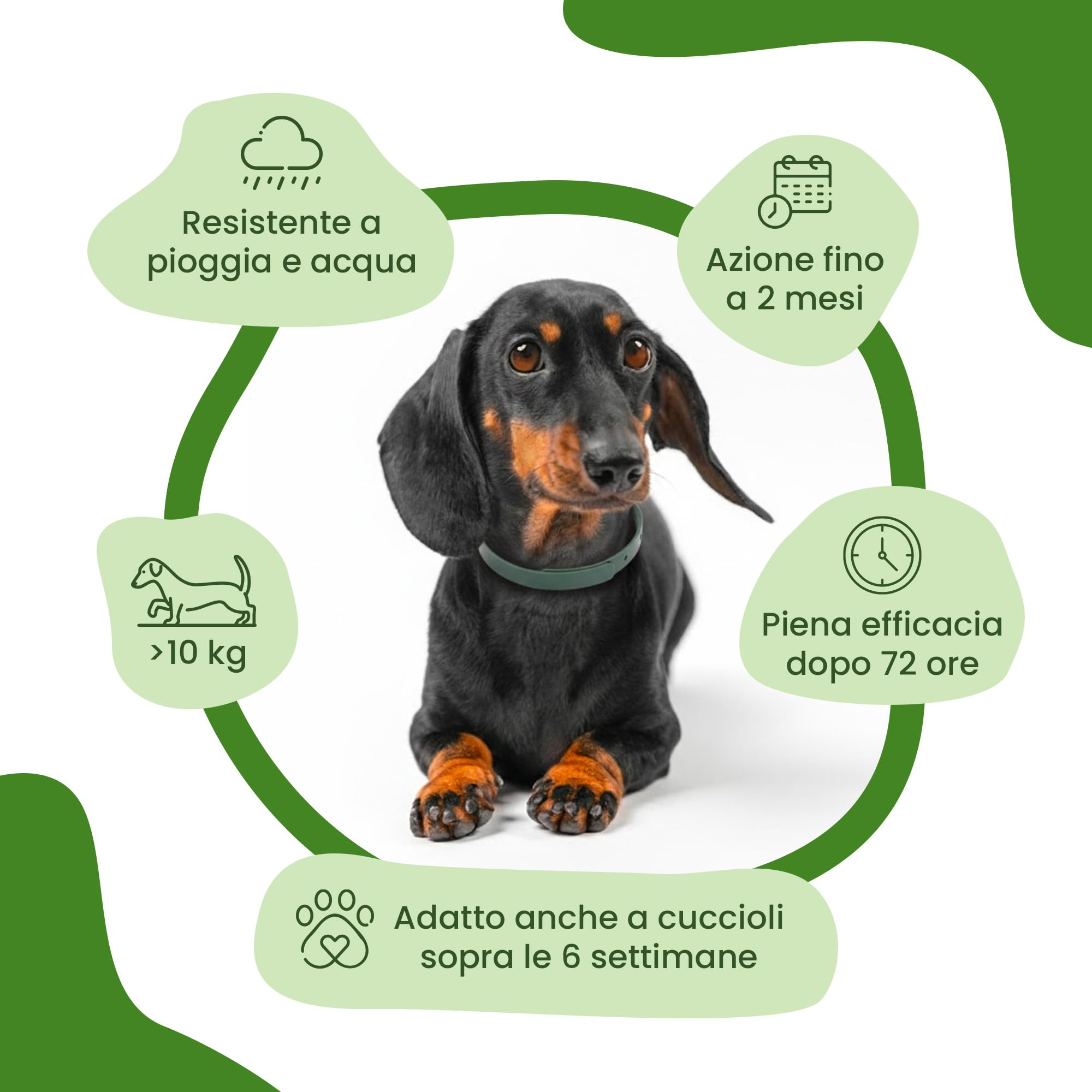 CAMON | Collier de protection pour chien (> 10 kg) avec huile de Neem, 60 cm, protection naturelle jusqu'à 2 mois