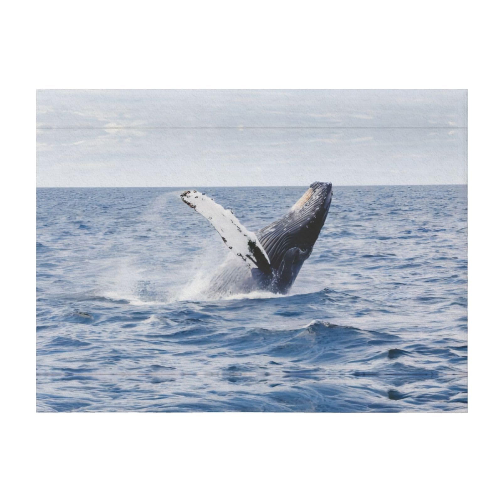 Couverture de climatisation salon et lit grand plaid baleine 203 x 152 cm
