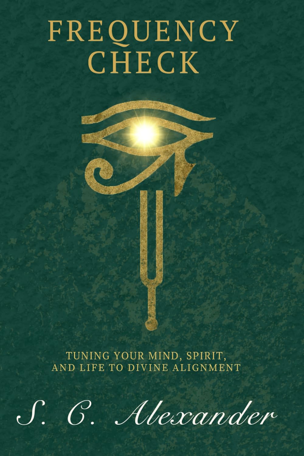 Frequency Check: Tuning Your Mind, Spirit, and Life to Divine Alignment