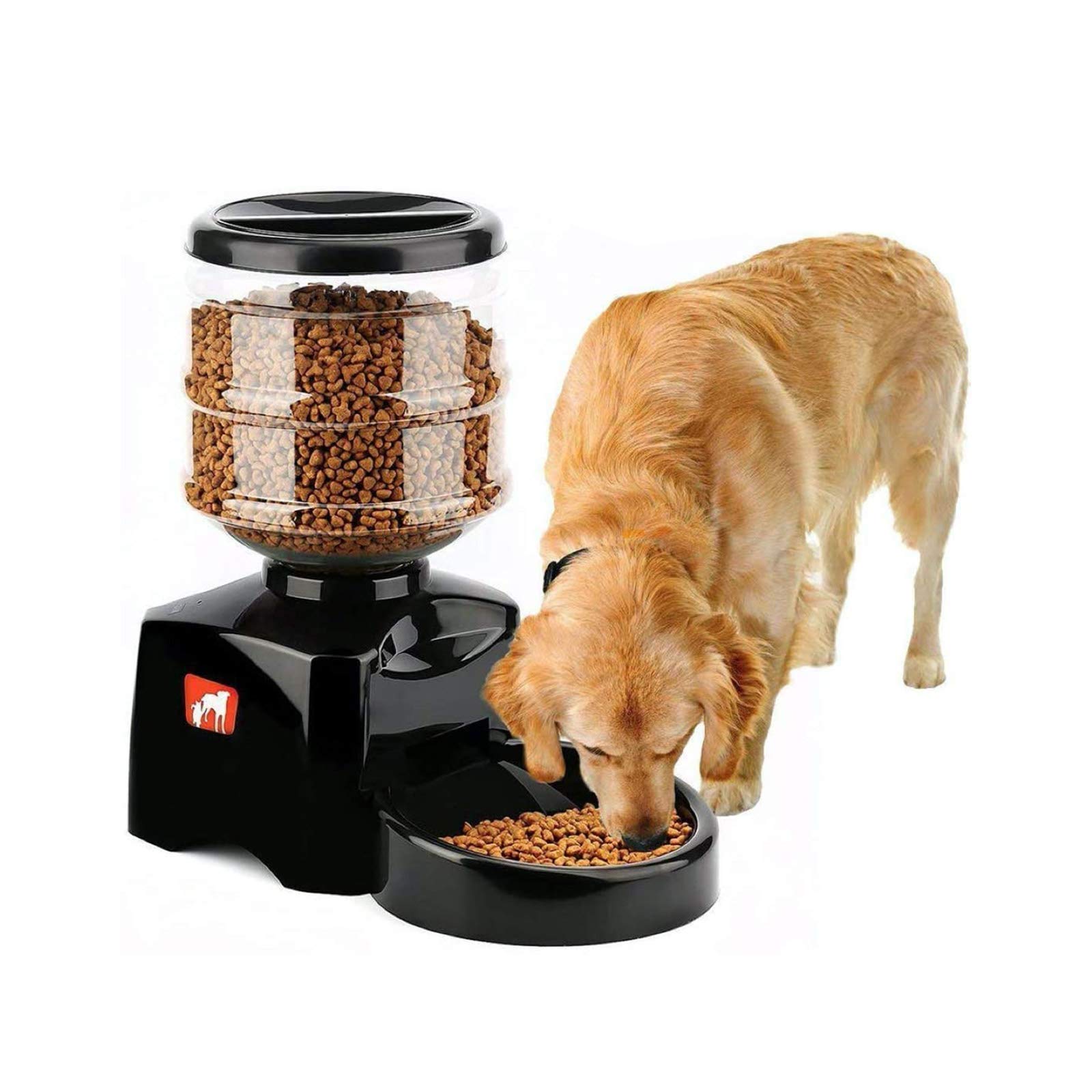 automatic pet bowl