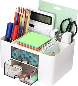 Organizer da scrivania multifunzione con 5 scomparti e 2 cassettiere trasparenti ed estraibili, ideale per una professoressa.