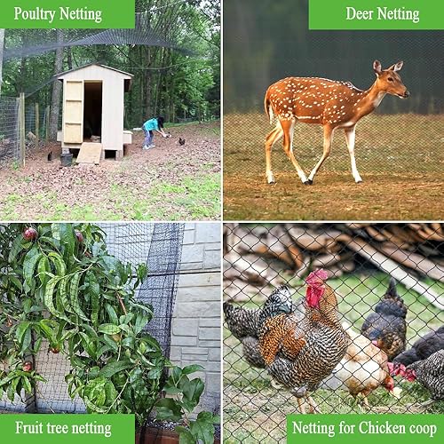 Miniatura 7 de JUNKOGO Red para pájaros de 7.5 x 65 pies, malla tejida para proteger plantas, árboles frutales, verduras contra pájaros, ciervos, ardillas, conejos