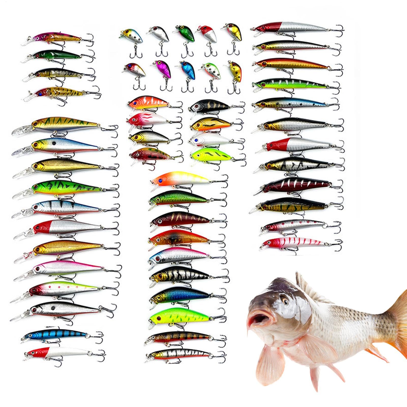 Angelköder Set | Angelköder Set für Bar - 56 Angelartikel | Köderset für Barsch, , Schlangenkopf, Mondfisch, Karpfen, Salzwasser, Schlangenkopffisch | Barsch, , Schlangenkopf, Mondfisch, Karpfen, Salzwasser, Schlangenkopffisch