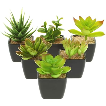 18 Stück Künstliche Sukkulenten – Mini-Kunstpflanzen Aus PVC, Für Deko Drinnen & Draußen