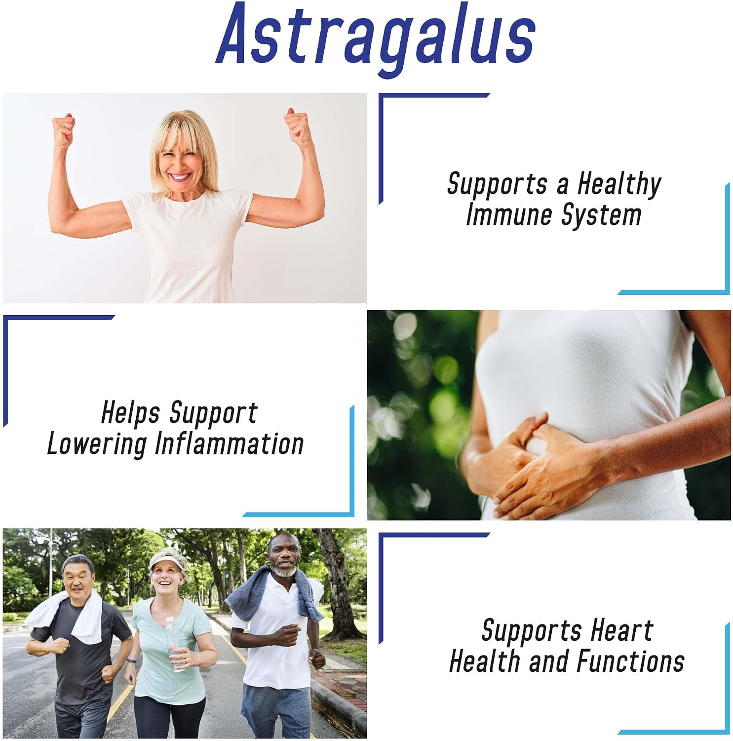 Astragalus Extract 500mg - 2000mg Equivalent 4:1 Extract – 200 Capsules – Astragalus Supplement – Helps Support Strong Immune Function and Cardiovascular System Astragalus Root Extract