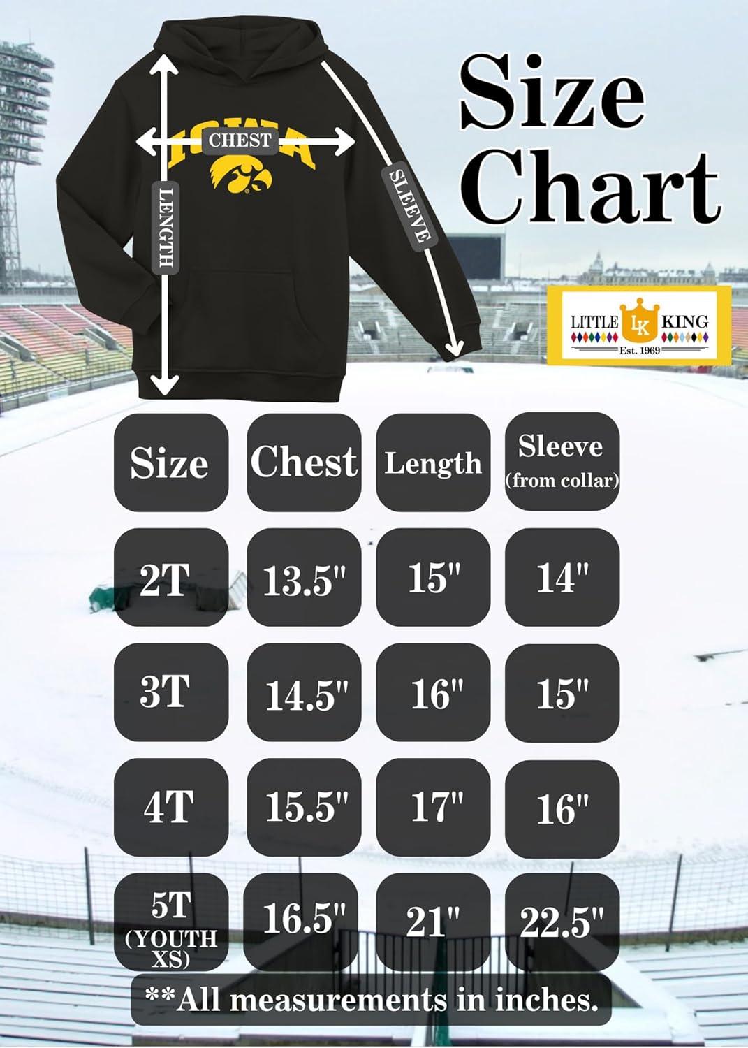 Little King NCAA Toddler Boys Arch Logo Hoodie Sweatshirt-Dual Blend-Sizes 2T 3T 4T 5T(YXS)