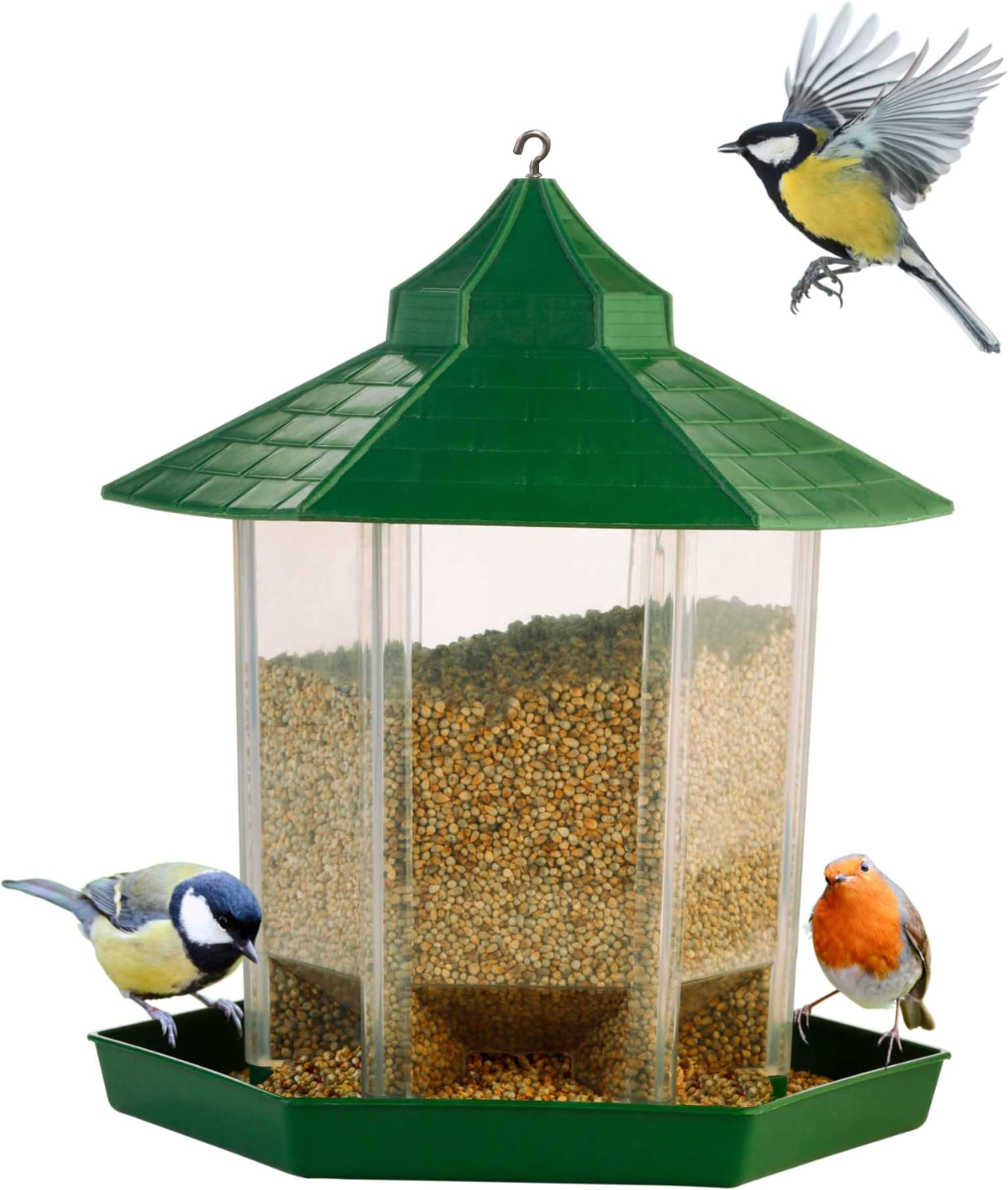 Amijivdaya Large Bird and Water Feeder Combo (Green, Transparent