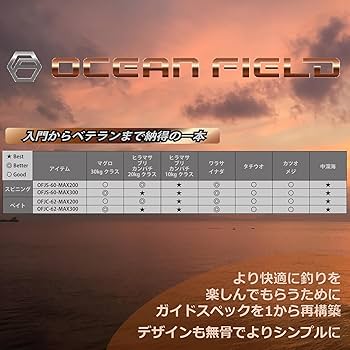 Amazon | オーシャンフィールド ジギング 各種 青物 根魚 サワラ