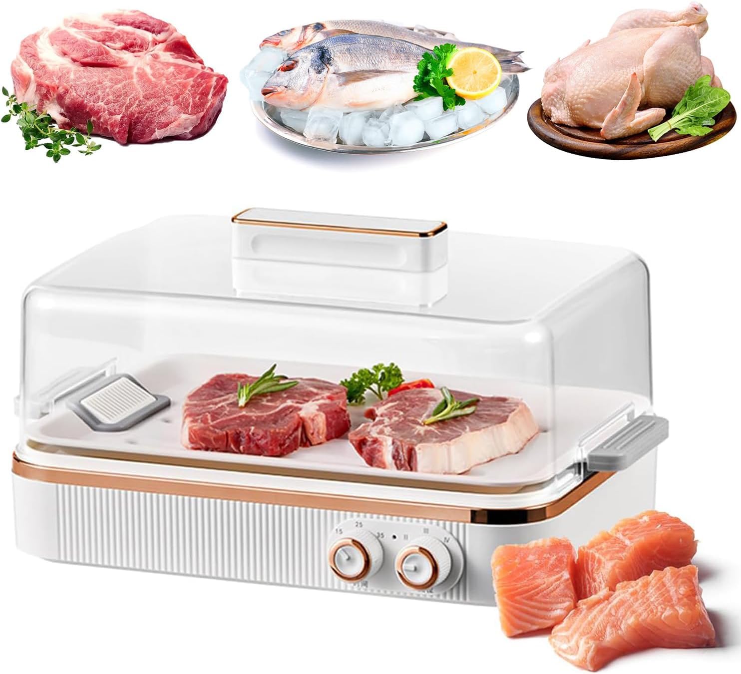 Yxyljoz Quick Thawing Meat Defrosting Tray - Non-Stick Board For Fast Thawing Of Steak, Chicken, Fish, Shrimp & Seafood - Ideal For Home Cooks,220V