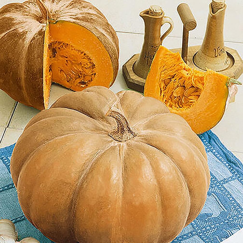 Autumn Buckskin Pumpkin Seeds - Heirloom (Pack of 2)