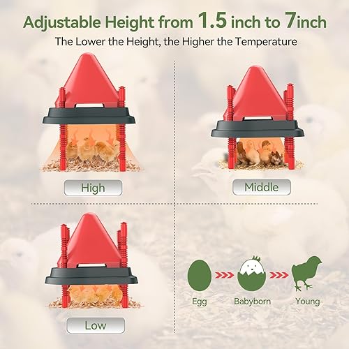 Miniatura 5 de Calentador de criador para pollitos para aproximadamente 15 pollitos de 10 x 10 pulgadas, placa de criador de fácil limpieza con plumas, placa