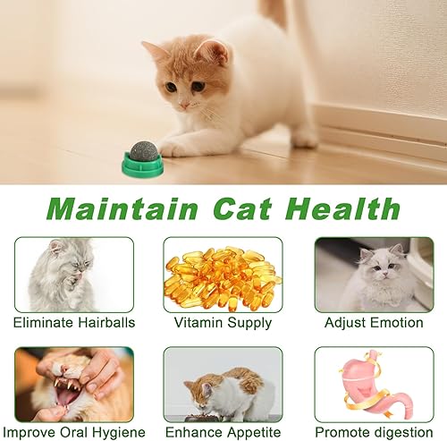 Miniatura 7 de KIMOBER Paquete de 6 bolas de hierba gatera para gatos, juguetes comestibles para masticar gatitos con hierba gatera Silvervine sabores de frutas de