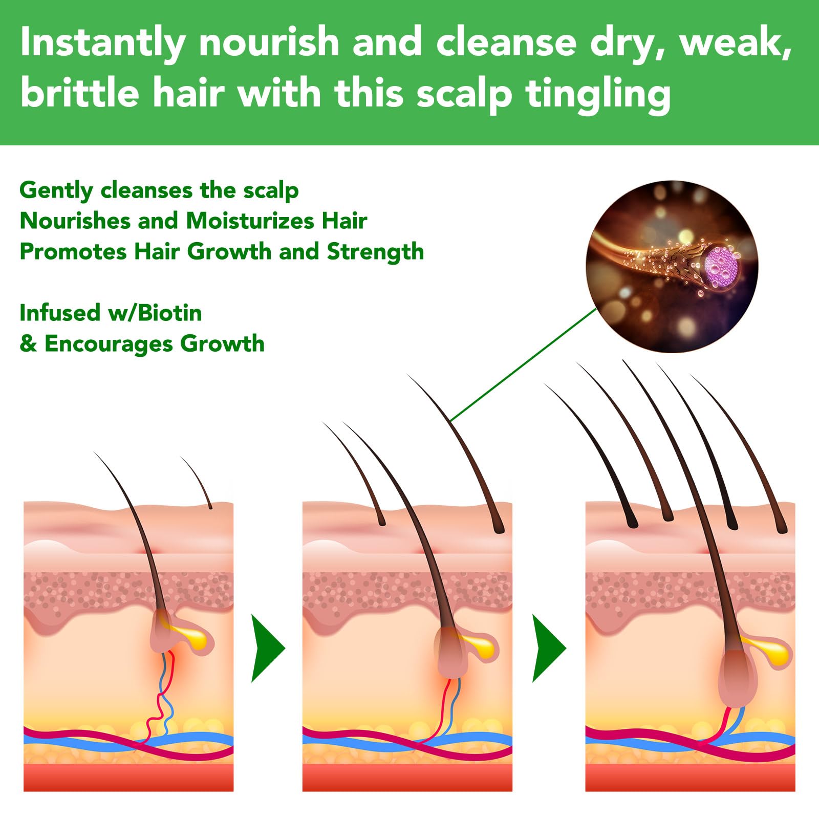 Champú de romero y menta para pérdida de cabello con biotina