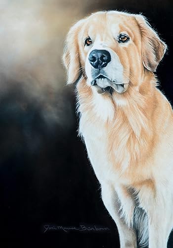 Golden Retriever - Bandera de casa de retrato de Best of Breed