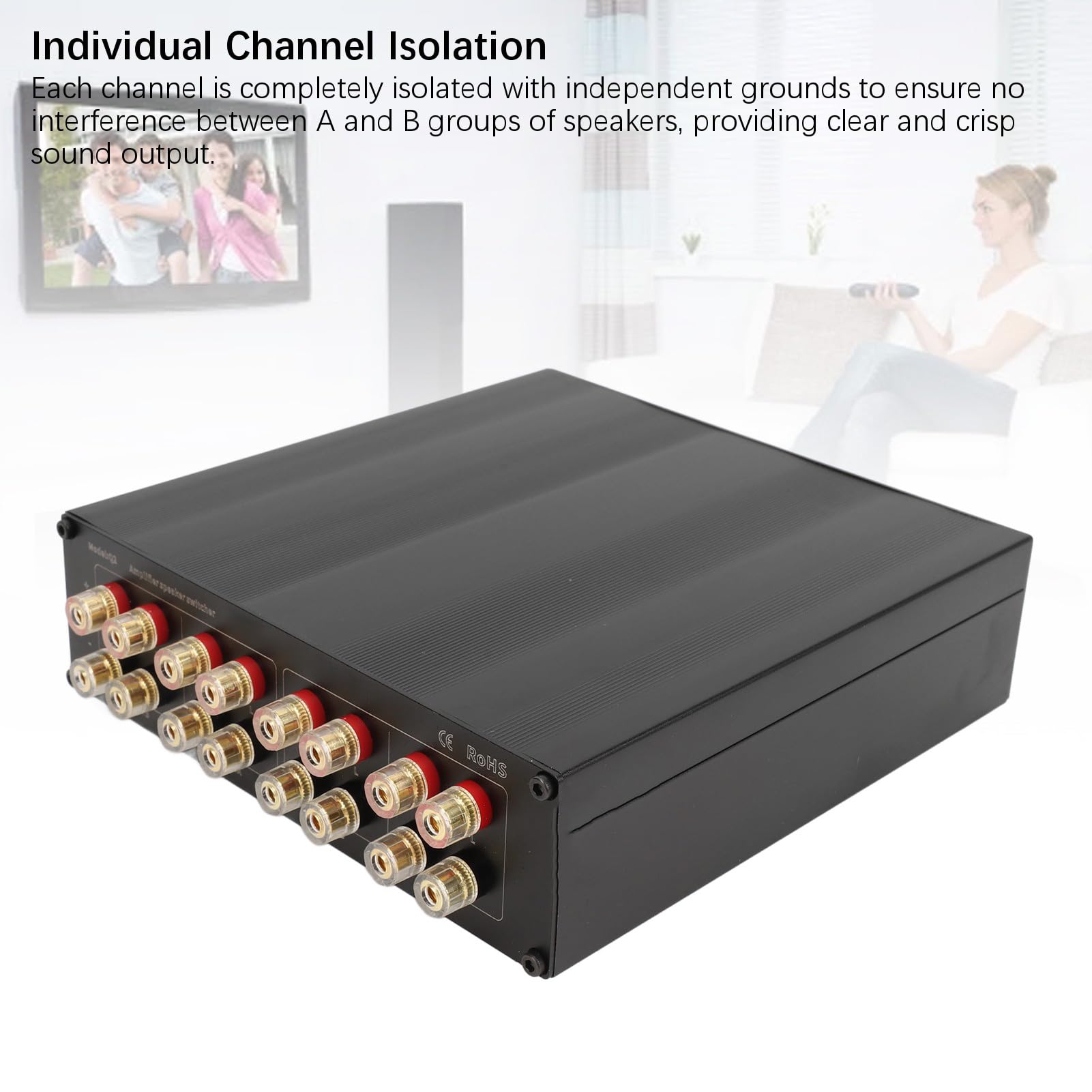 XUMIUZIY Interruptor Selector de Altavoz Amplificador con Componentes Premium para Configuración de Sonido Personalizada, 2 en 2 Salidas para Uso Doméstico Aleación de Aluminio, Cobre Chapado en Oro