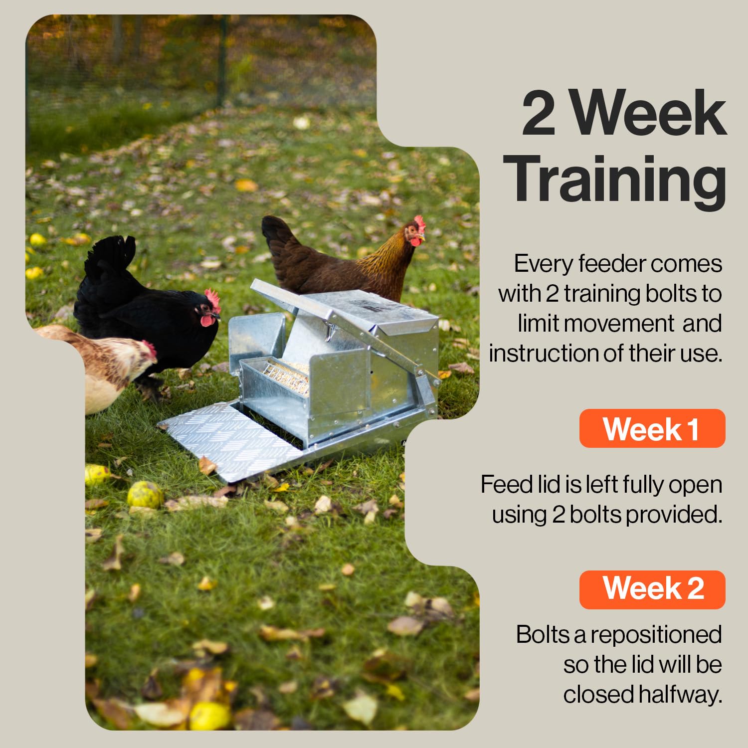 SuperHandy Comedero para pollos Automático Capacidad de 9 kg (20 lb) Comedero para 6 a 12 aves de corral Hasta 10 días Se mantiene seco con acero galvanizado a prueba de derrames Prevención de aves