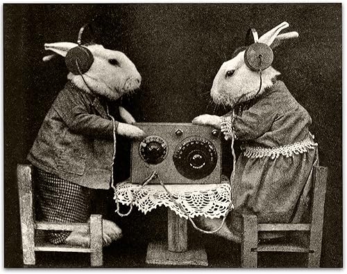 Bizarre Strange Bunnies escuchando radio con auriculares, impresión sin marco de 11 x 14 pulgadas, decoración perfecta de estudio o regalo para los