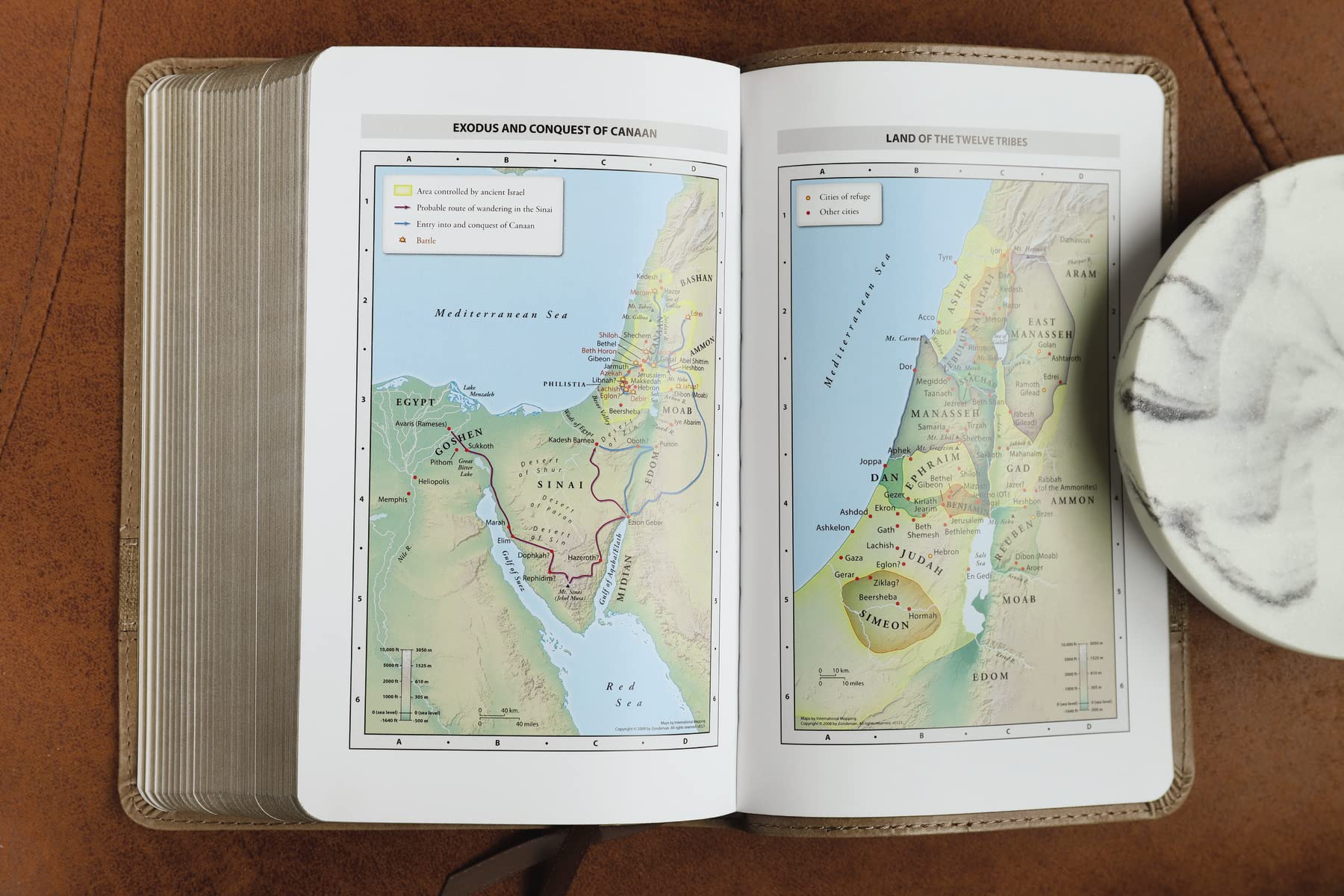 NIV Teen Study Bible: New International Version, Brown, Leathersoft, Comfort Print