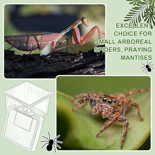 Miniatura 6 de Caja de cría de terrarios de arañas de insectos, 20 unidades, contenedor de eclosión de reptiles, caja transparente para criador, jaula de araña de