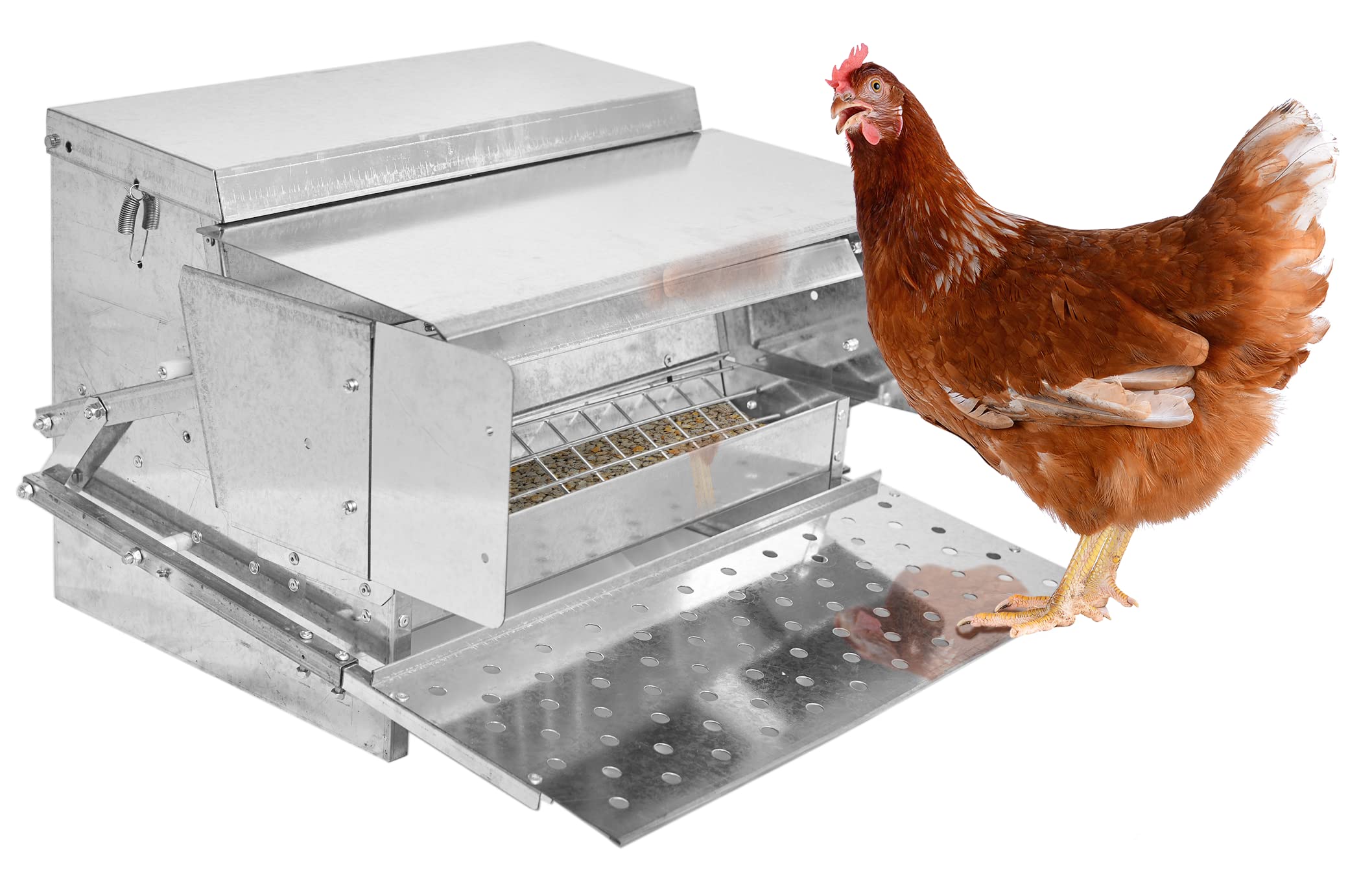Buy RentACoop Automatic Chicken 25lb Treadle Feeder, Pest, Rat, and
