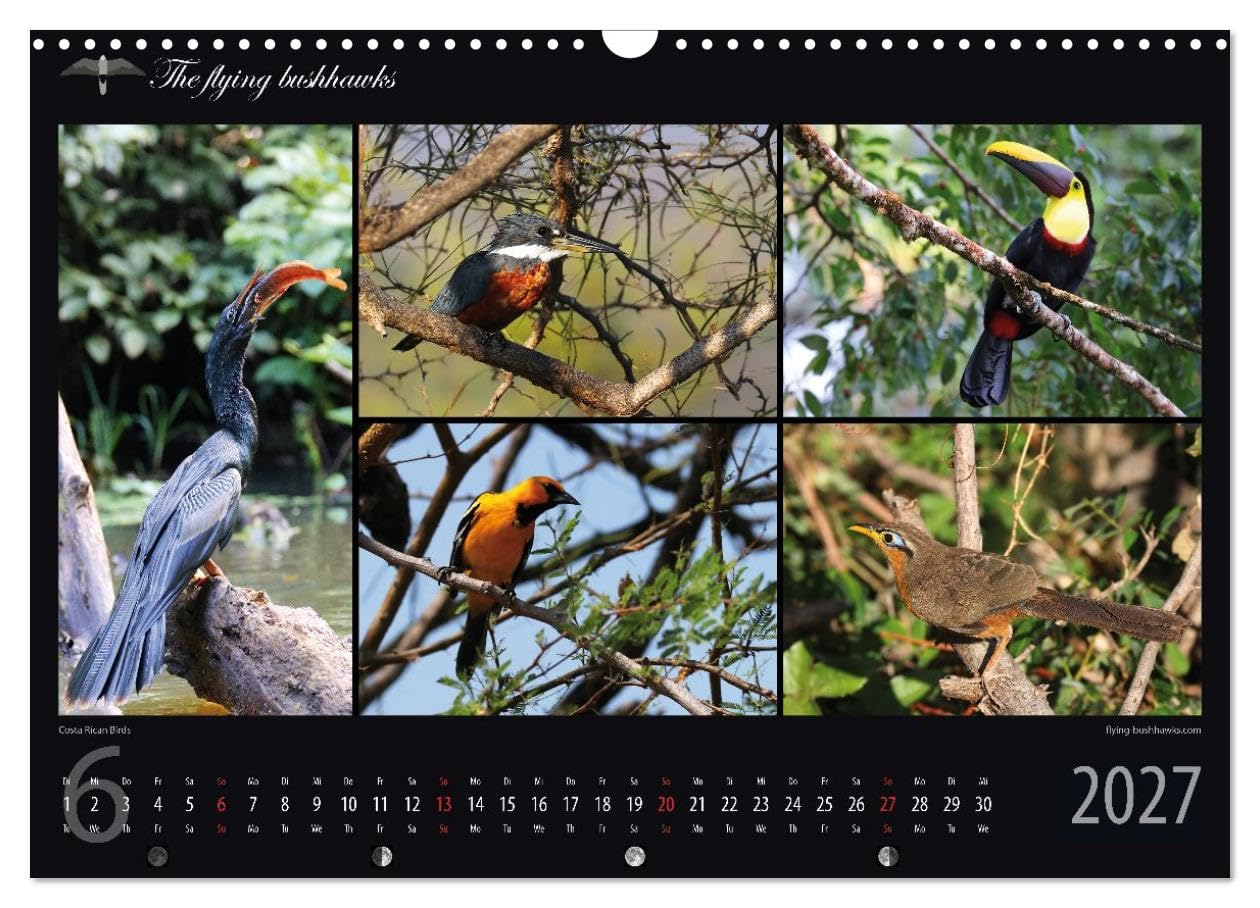 Costa Rica Blickwinkel 2027 (Wandkalender 2027 DIN A3 quer), CALVENDO Monatskalender: Costa Rica - flying bushhawks Blickwinkel Kalender (CALVENDO Orte)