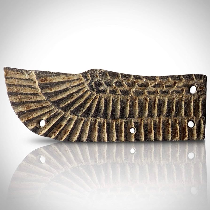 71mhJQzbhCL._AC_UF894,