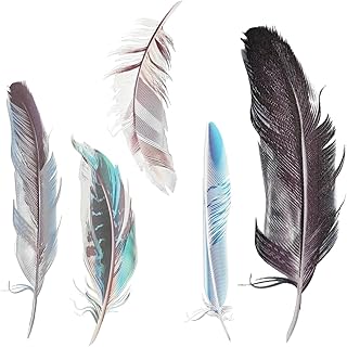3D Feather Vinyl Decal Car Stickers - Bird Feather Decorative Decals Scratch Cover - Plumage Decal Car Window Bumper Sticker for Vehicle Rearview Mirror Laptop Wall Helmet Luggage (Style 2)