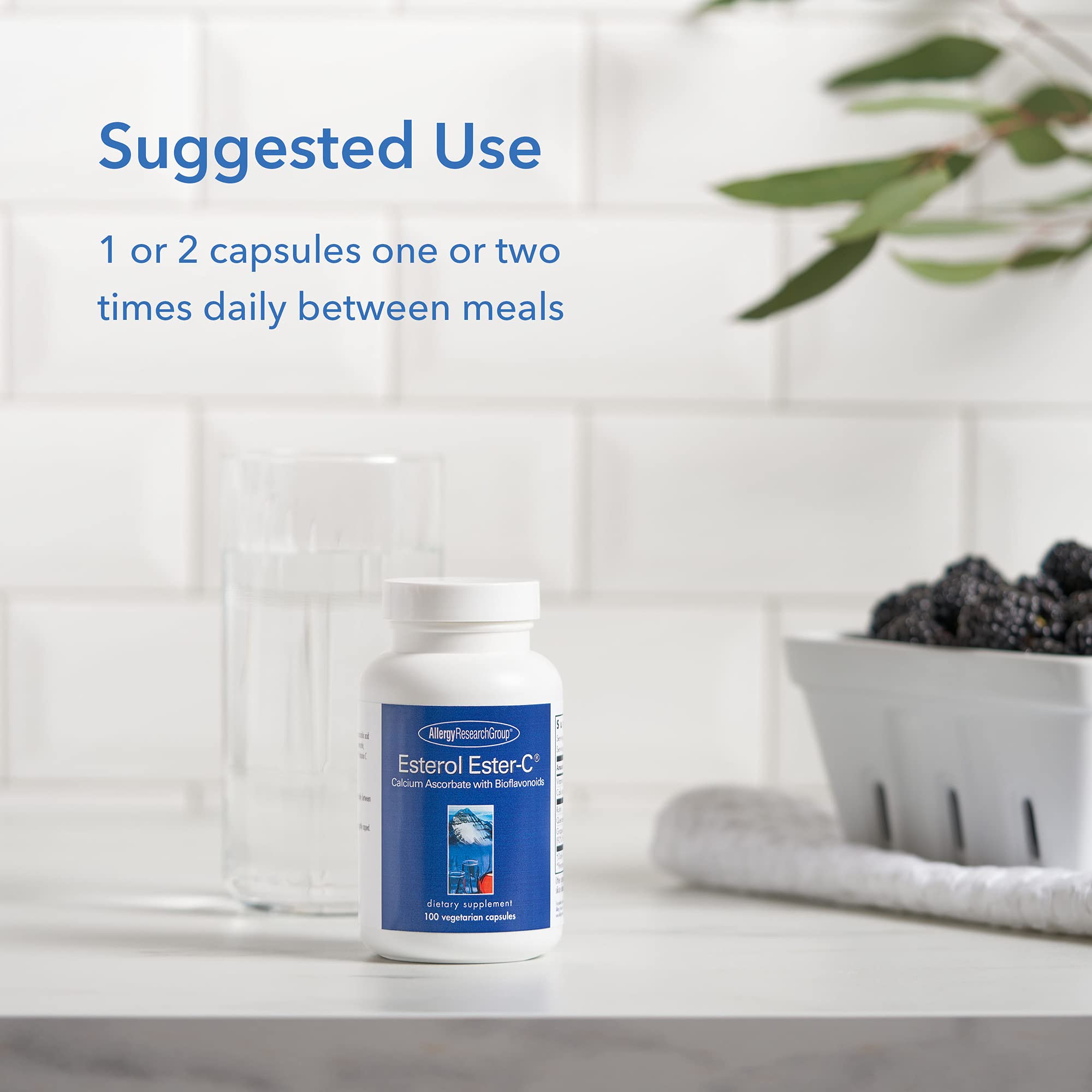 Allergy Research Group Esterol EsterC Vitamin C