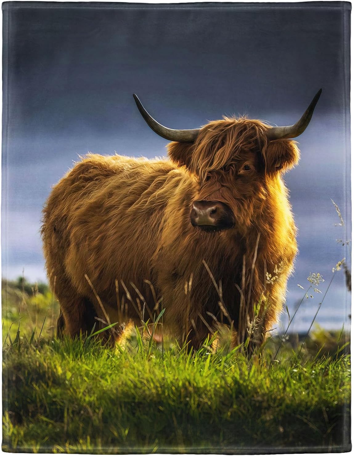 Rstick Highland Cattle Blanket Bull Highland Cow Fleece Blanket Soft Fuzzy Plush