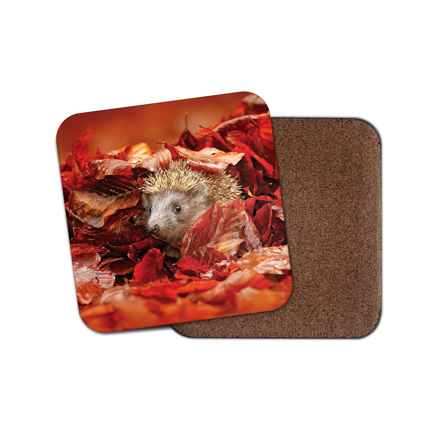 Destinationvinyl Multicolor 1 X Adorable Hedgehog Coaster - Autumn Leaves Hog Garden Wildlife #8852