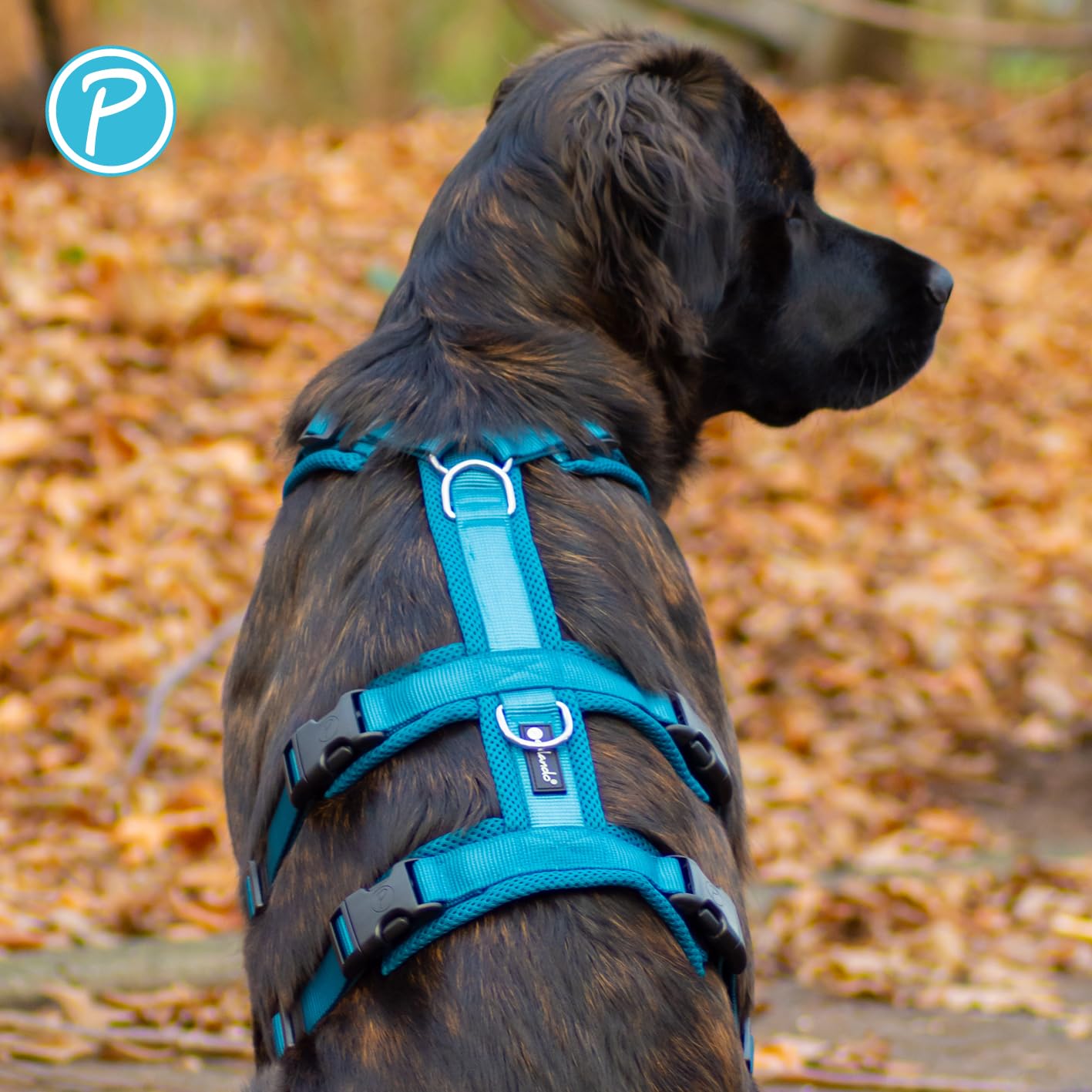 Petlando Sicherheitsgeschirr, ausbruchsicheres Hundegeschirr mit extra Bauchgurt, weich gepolstert mit Mesh, atmungsaktiv, robust, stufenlos verstellbar, Geschirr für große Hunde, Schwarz, L