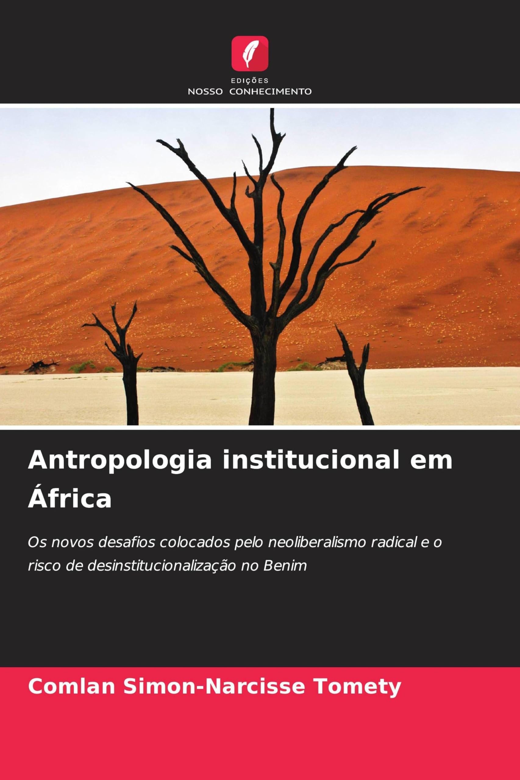 Antropologia institucional em África: Os novos desafios colocados pelo neoliberalismo radical e o risco de desinstitucionalização no Benim