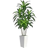 7FT Artificial Dracaena Tree, Fake Tree Indoor with White Tall Planter, Tall Artificial Plants Indoor, Artificial Silk Tree for Home Office Decor Plants Indoor Outdoor (White)