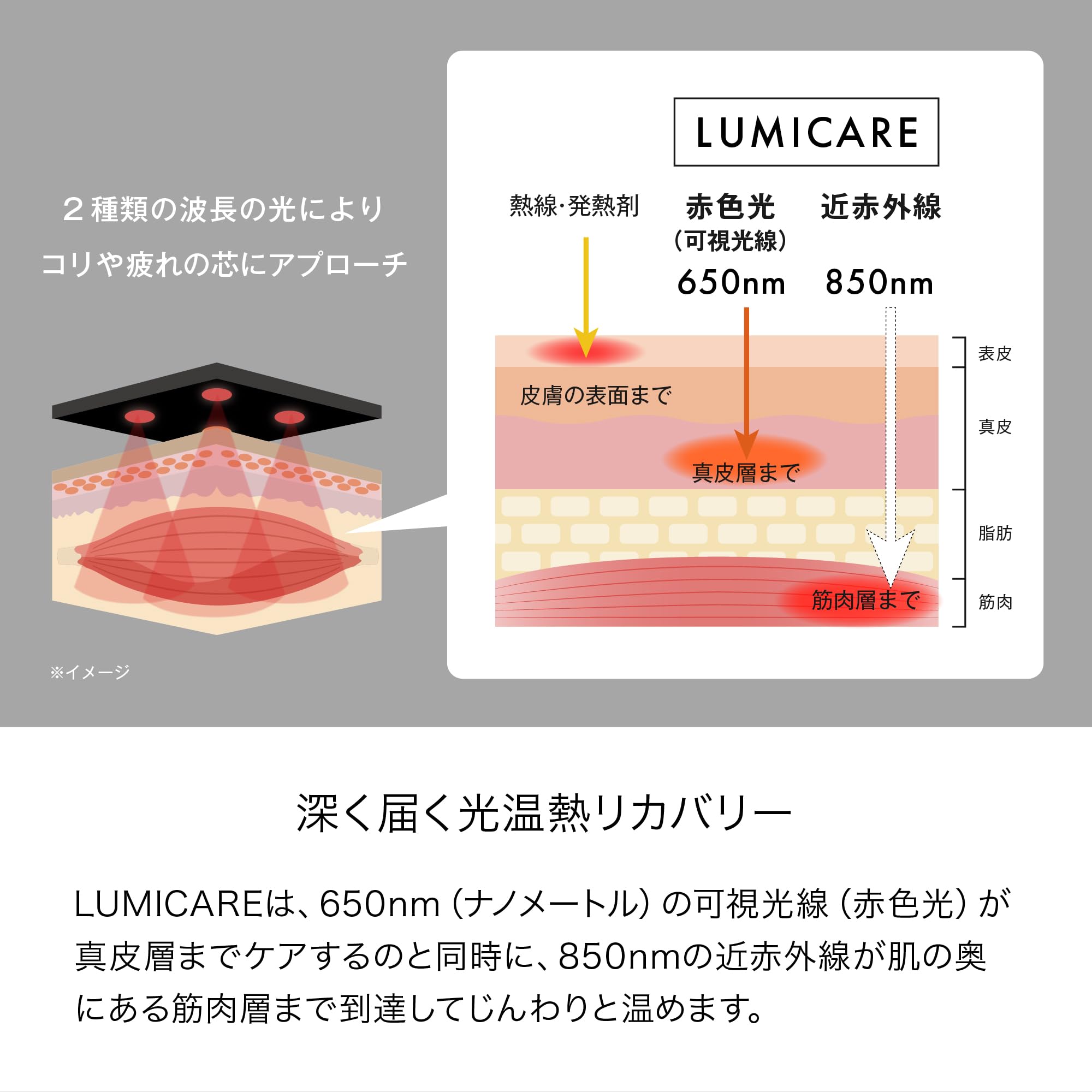 Amazon.co.jp: LUMICARE body ルミケアボディ LED光温熱ケア 腰用温熱