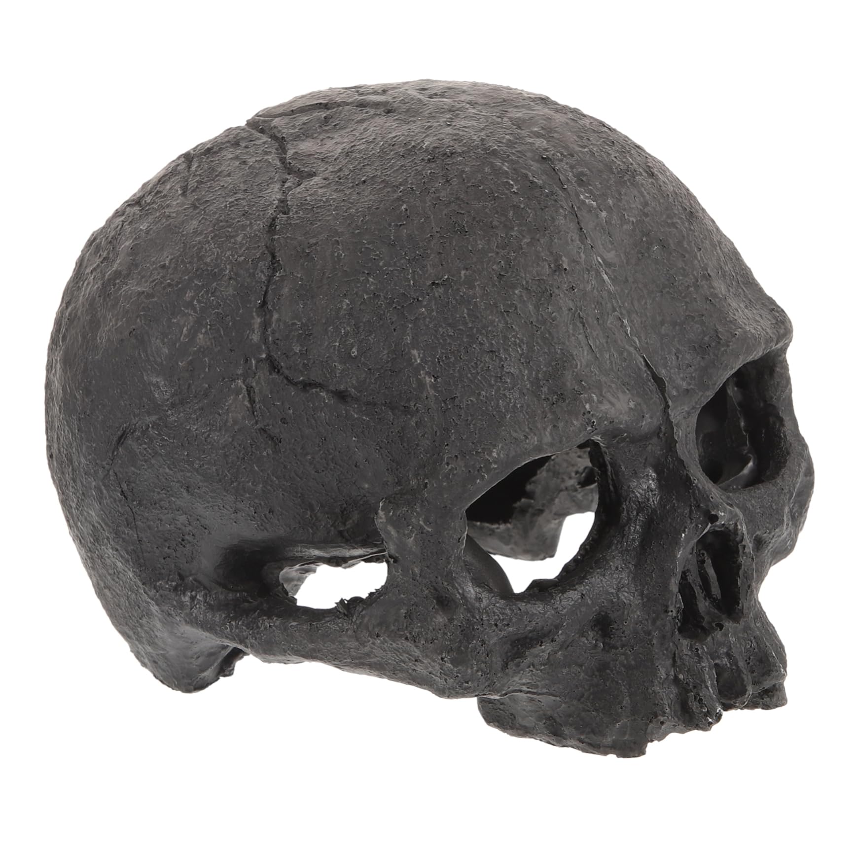 Alipis 5 Pezzi Decorazione con Resina per Terrario Soprammobile Halloween Realistico Accessorio per Rettili e Resistente all