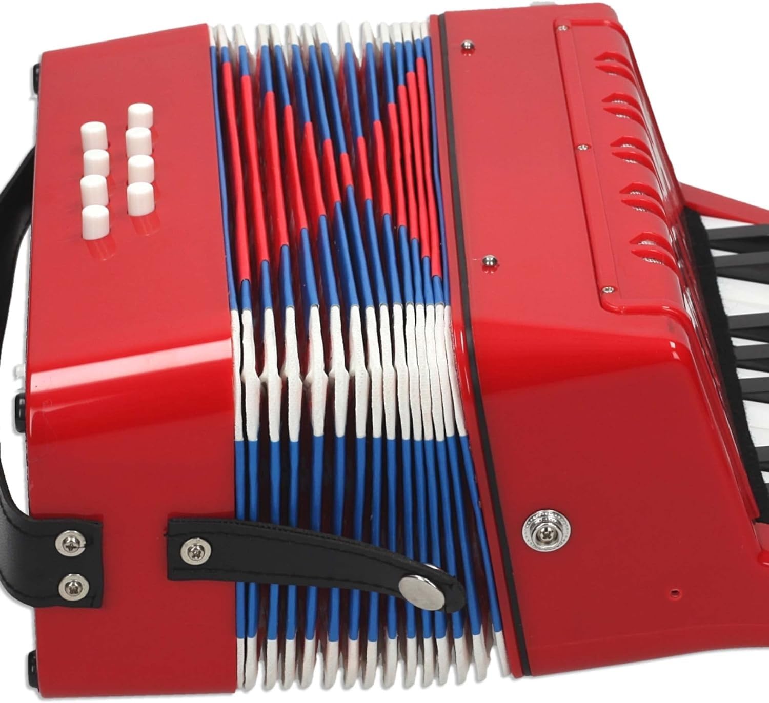 REIG 7087 Fisarmonica