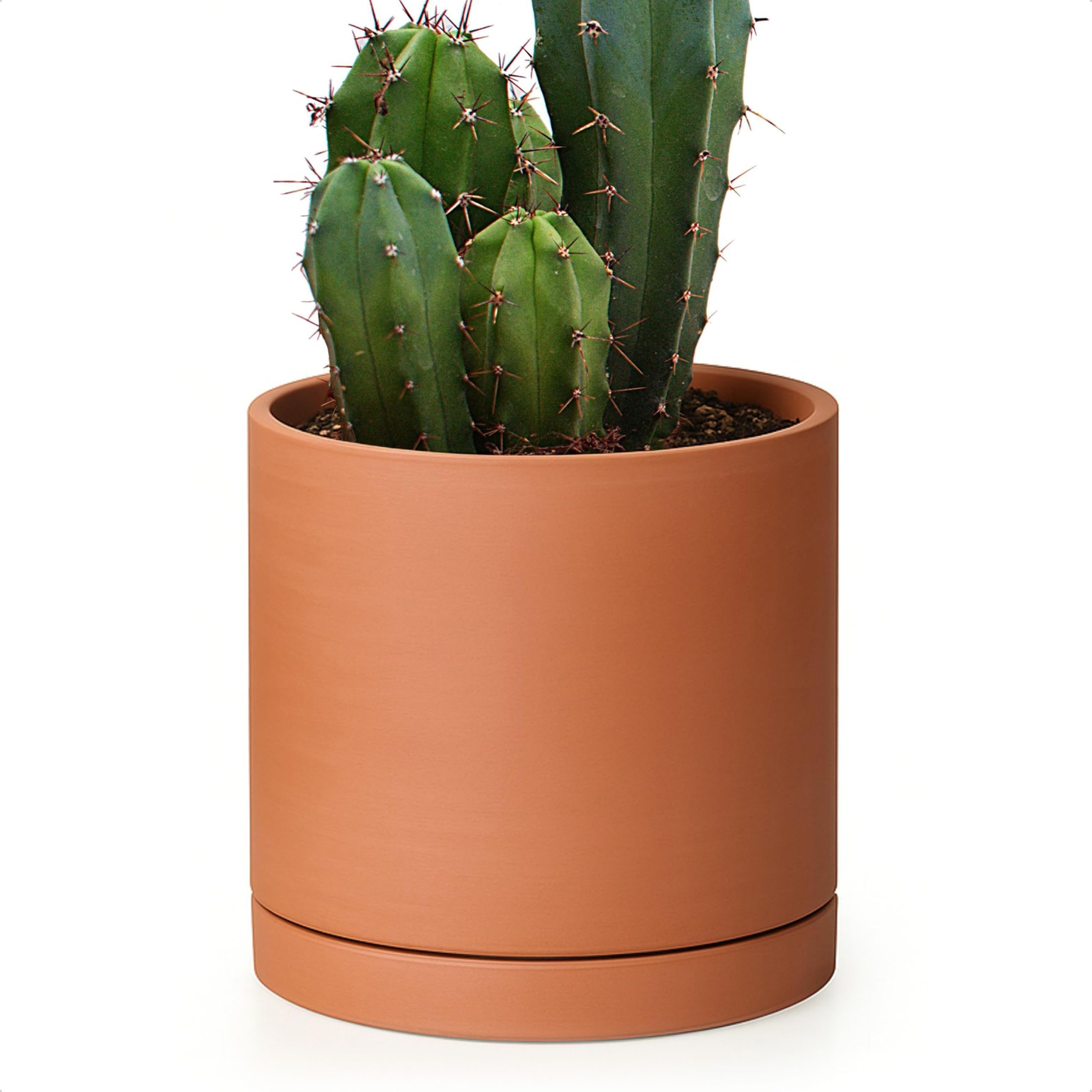 D'vine Dev Small 6 Inch Terracotta Plant Pot