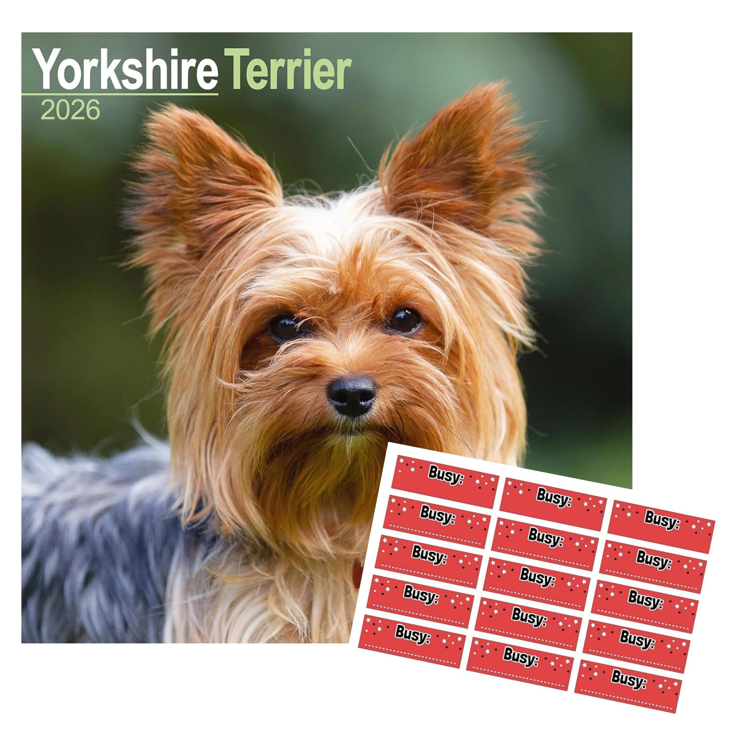 Yorkshire Terrier Calendar 2026 | 16 months | with FREE Organisational Stickers