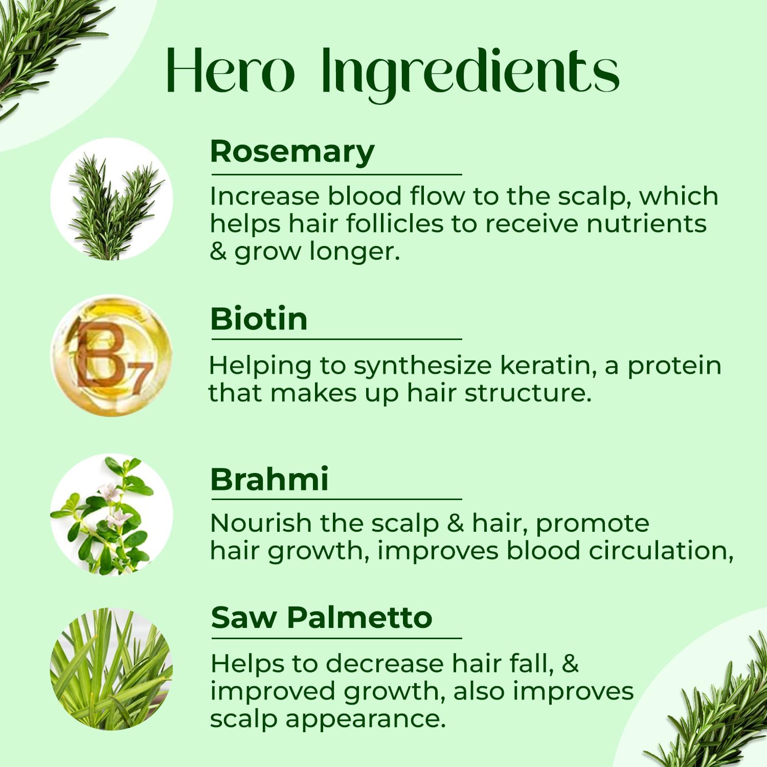 Passion Indulge Rosemary Oil for Hair Growth with Biotin 100ml, Hair Proteinz, Reduce Hair Fall & Breakage - Image 4