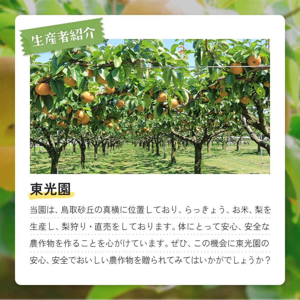 Amazon.co.jp: 【鳥取県産】東光園 二十世紀梨 新甘泉 セット