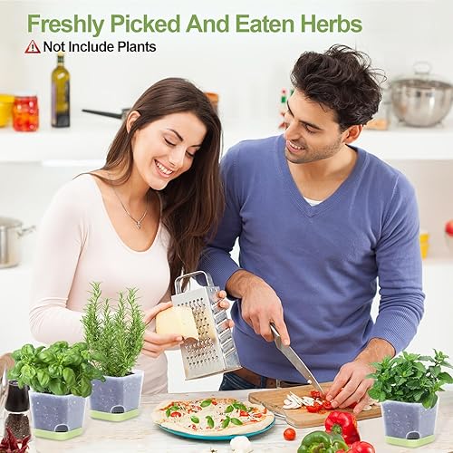 Miniatura 7 de Oliz Macetas para suculentas, 3.1 pulgadas de plástico con agujero de drenaje para interiores, oficina, hogar, plantas, cactus violeta, paquete de 6