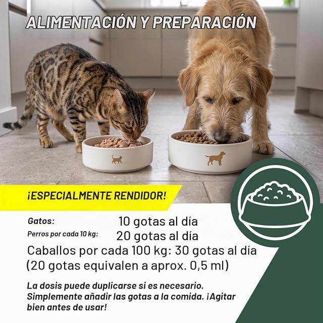 Foto 4 de 7 de ReaVET Aceite de algas para perros, gatos y caballos, 50 ml